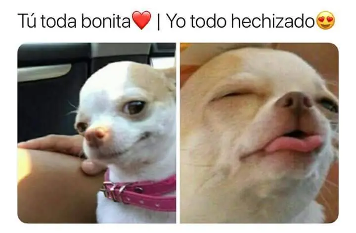 memes