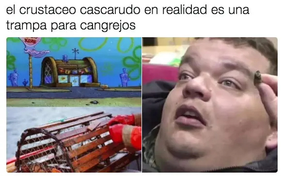memes