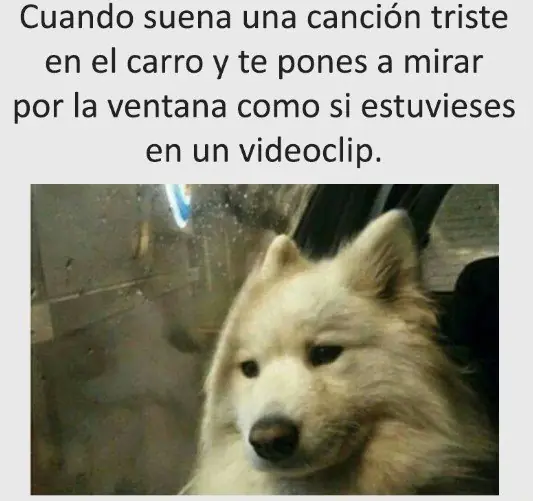 divertidas
