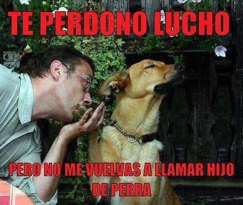 Humor de jueves aburrido para vos