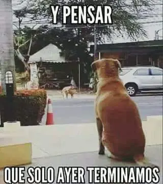 memes