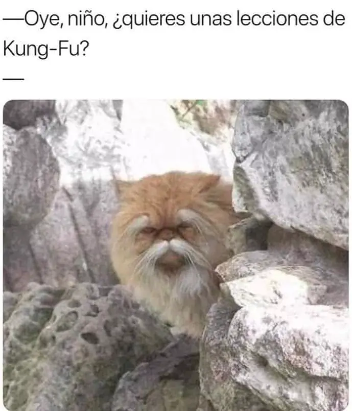 memes