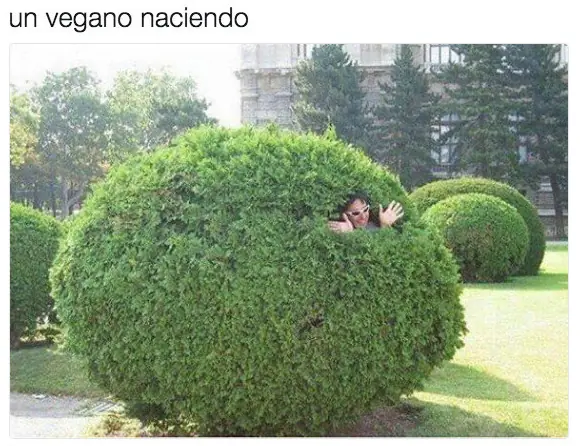 imagenes