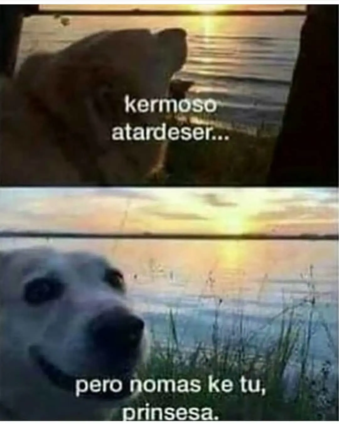 divertidos