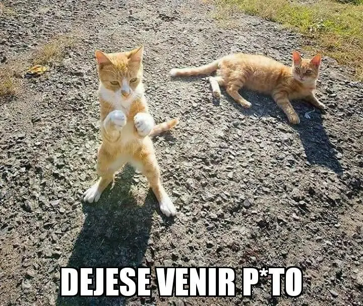 mejores