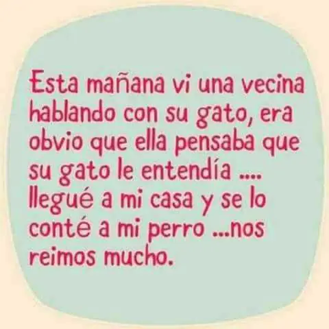 examinado
