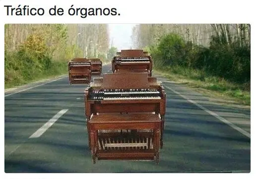 Lunatico