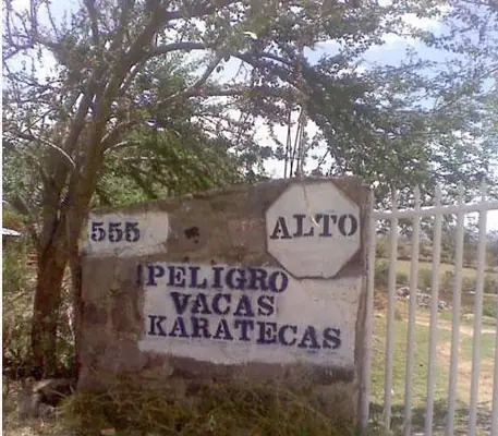 imagenes