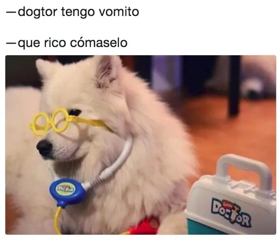 imagenes