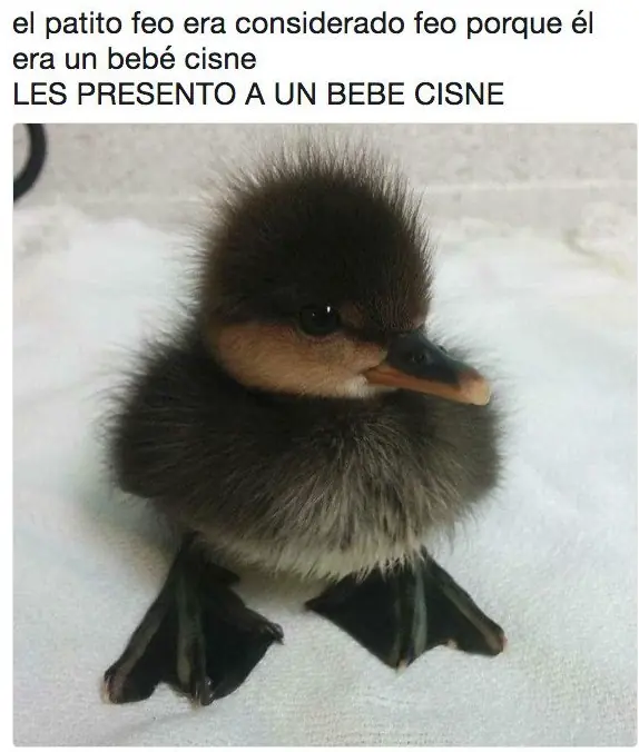 imagenes