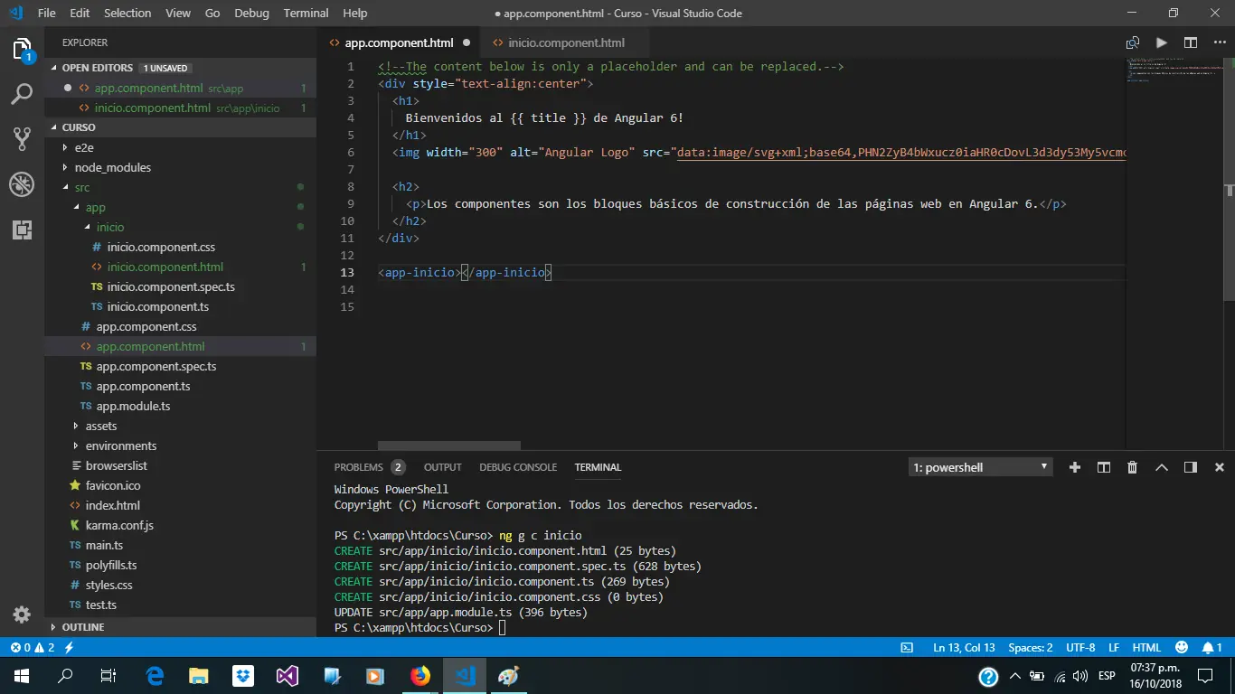 desarrollo web