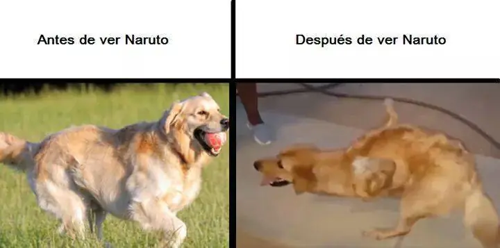 taringa