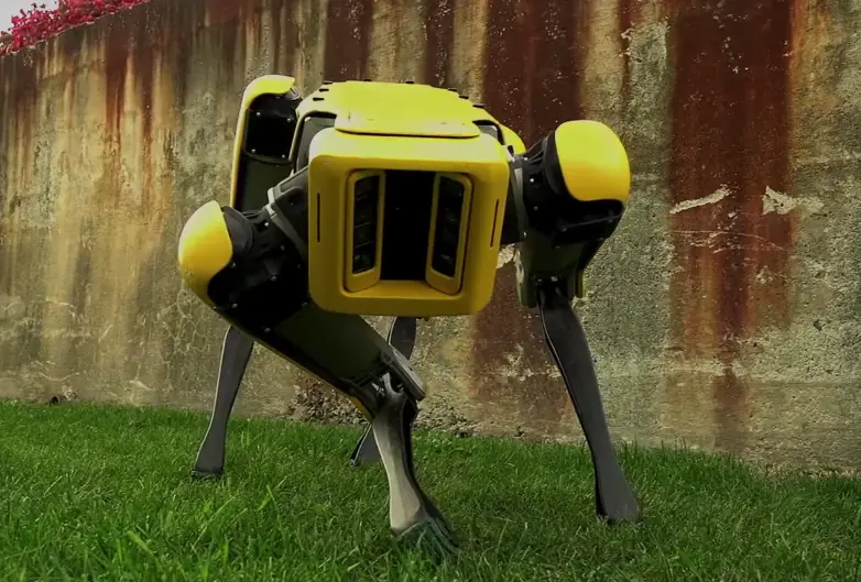 robotica