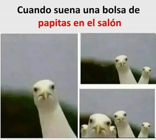 mejores