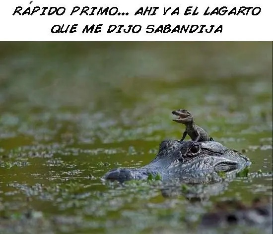 extraterrestre