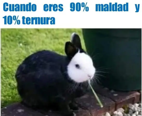 mejores