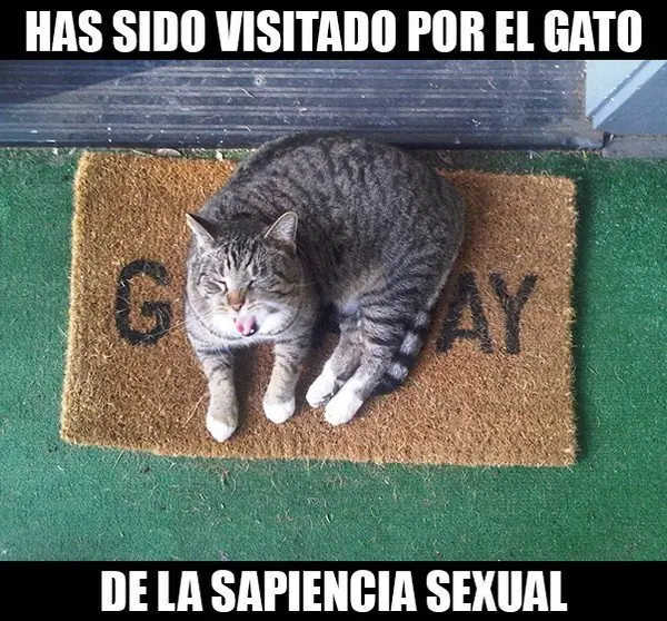 mejores