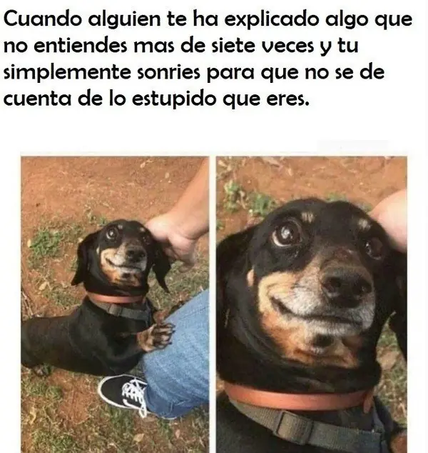 deleitarse