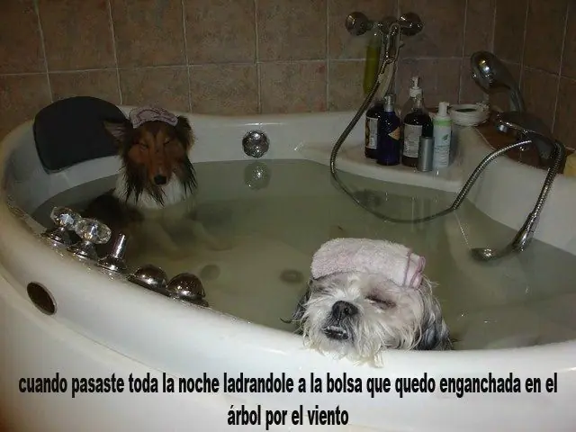 mejores