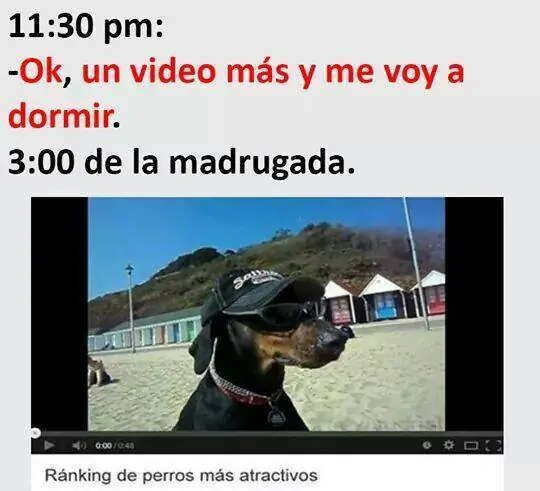 deleitarse