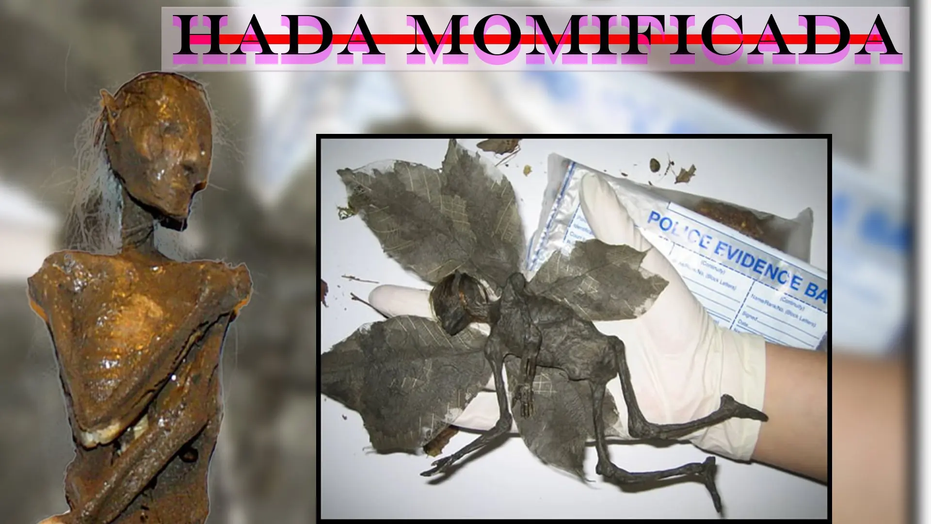 Hada momificada