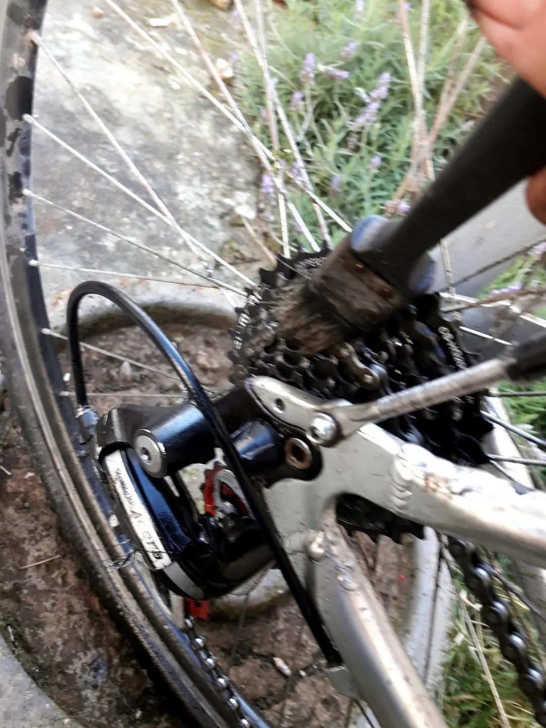 mecanica bicicleta