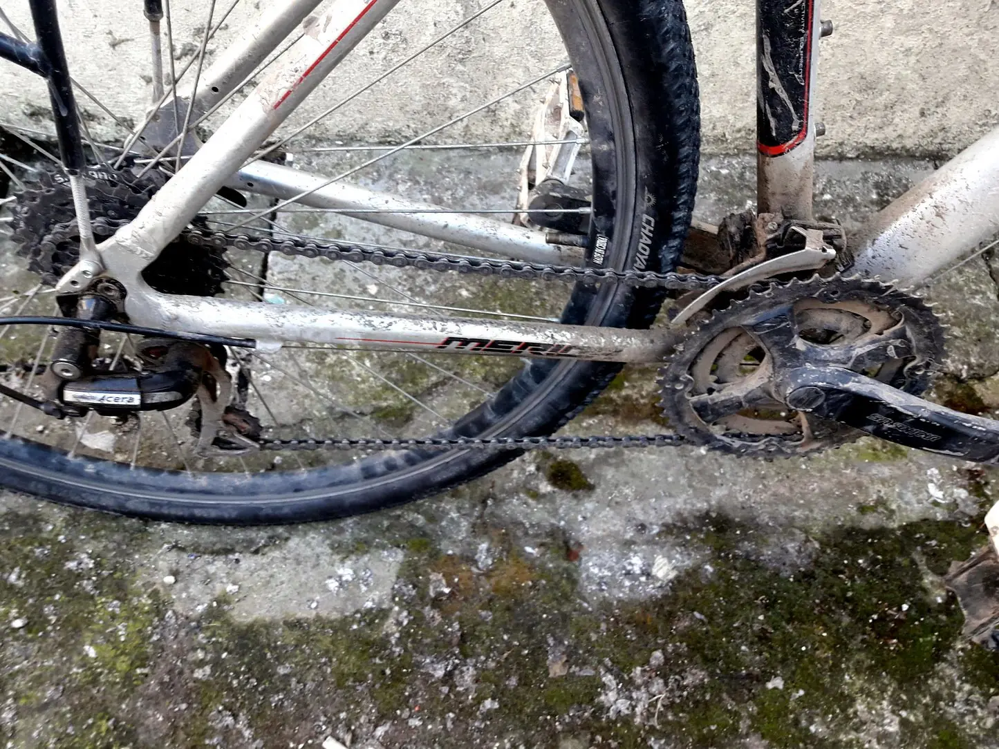 bicicleta