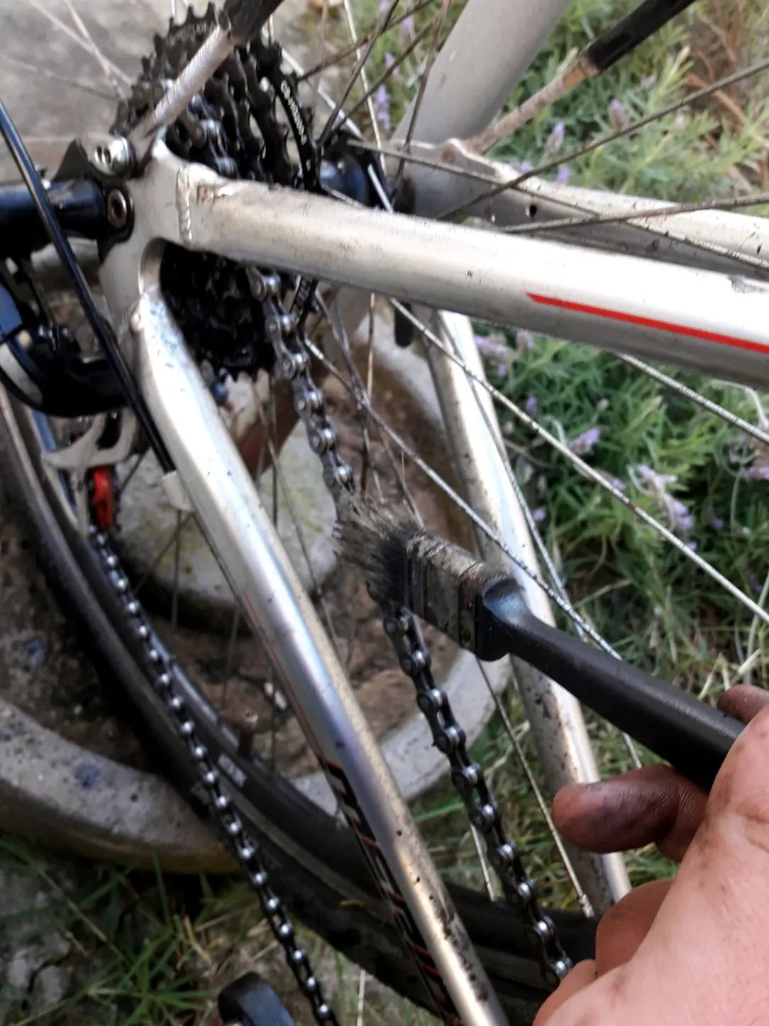 ciclismo