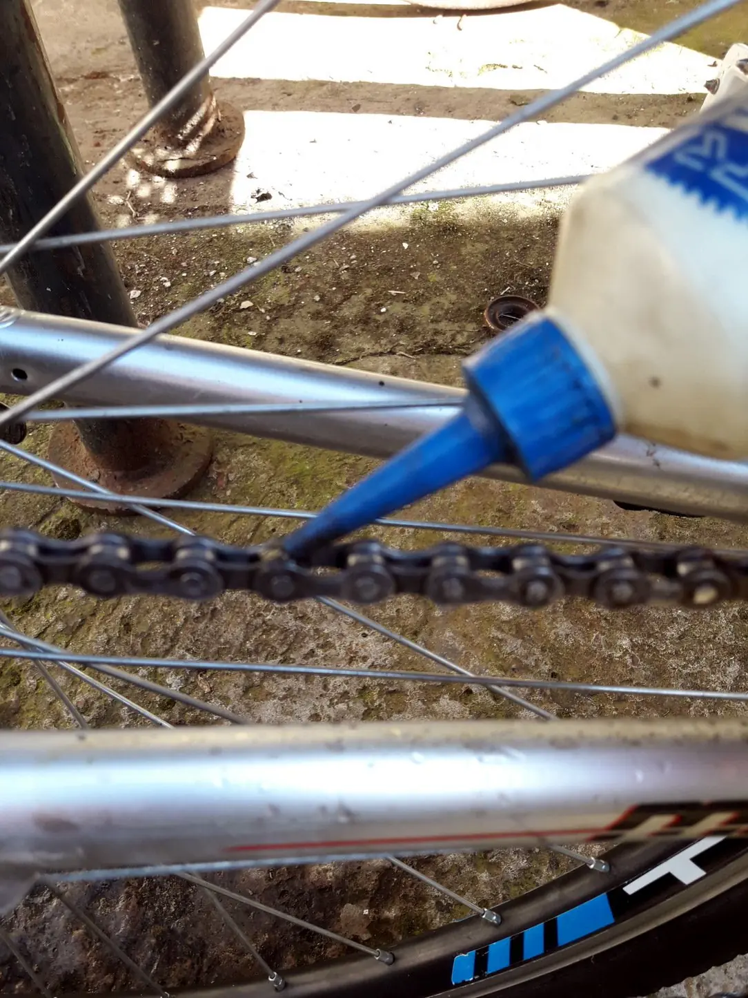 bicicleta