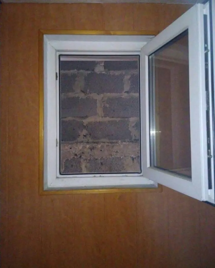 Fotografías peculiares que nunca antes habías visto