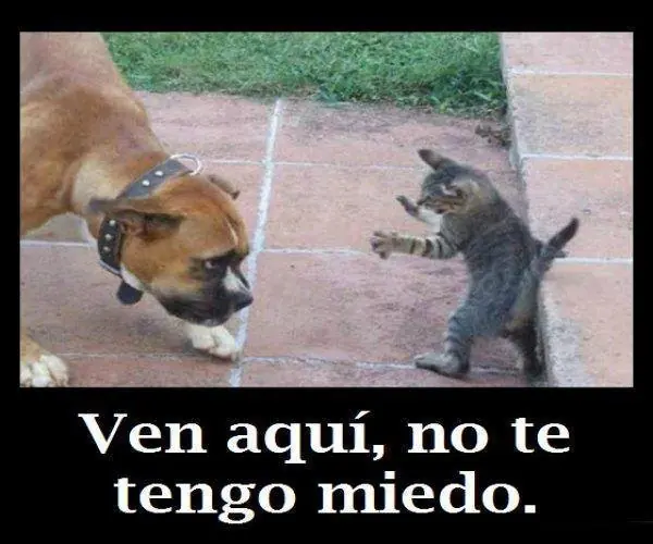 mejor