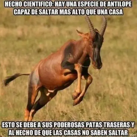 se olvida