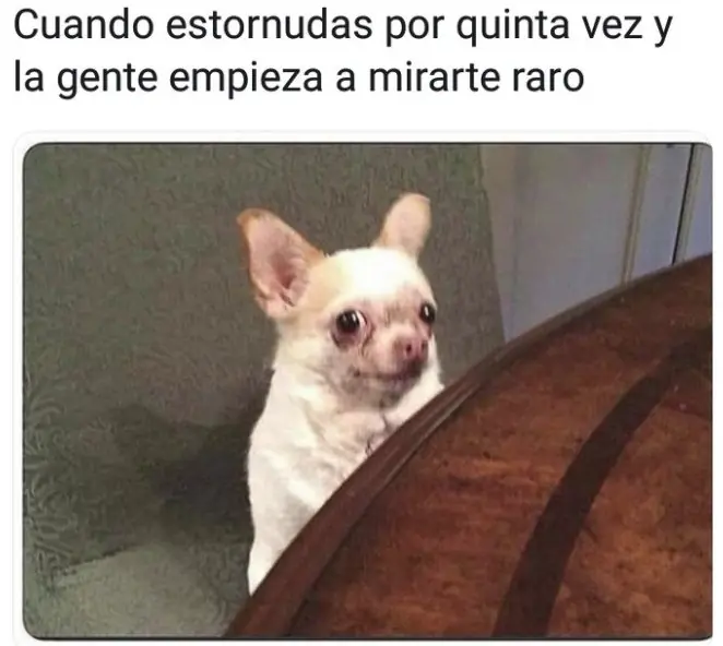 humores