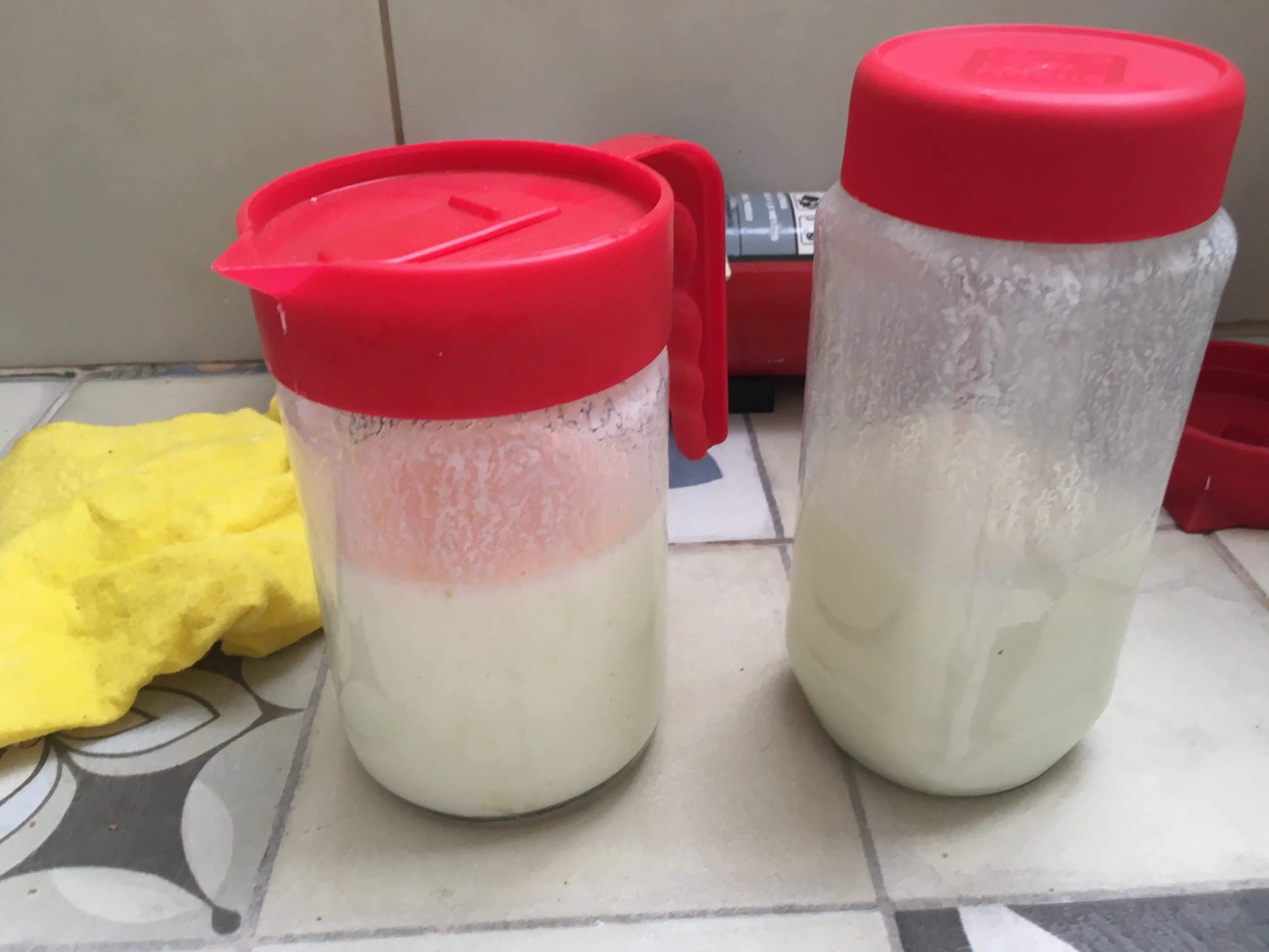 Hice leche de Kefir y te lo muestro!