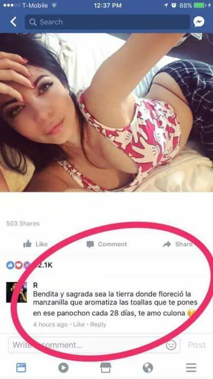 Humor: Los mejores Fail de las redes que te harán madrugar