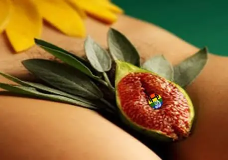 Los diálogos de la vagina