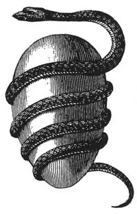 significado