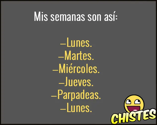 Te saco una sonrisa antes de que sea de noche - 6/12