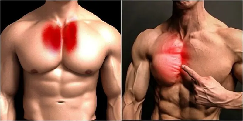 Rutina de pectoral por zonas