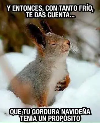 Humor especial: la mejor dinámica de humor morirás de risa.