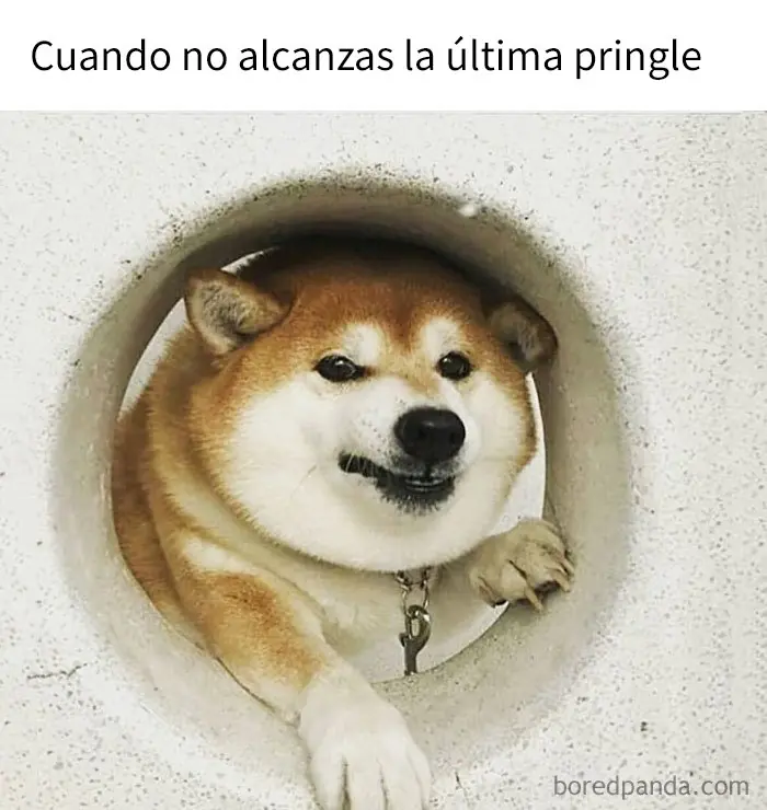 Humor Vengador; los mejores wtf para alegrarte la Madrugada