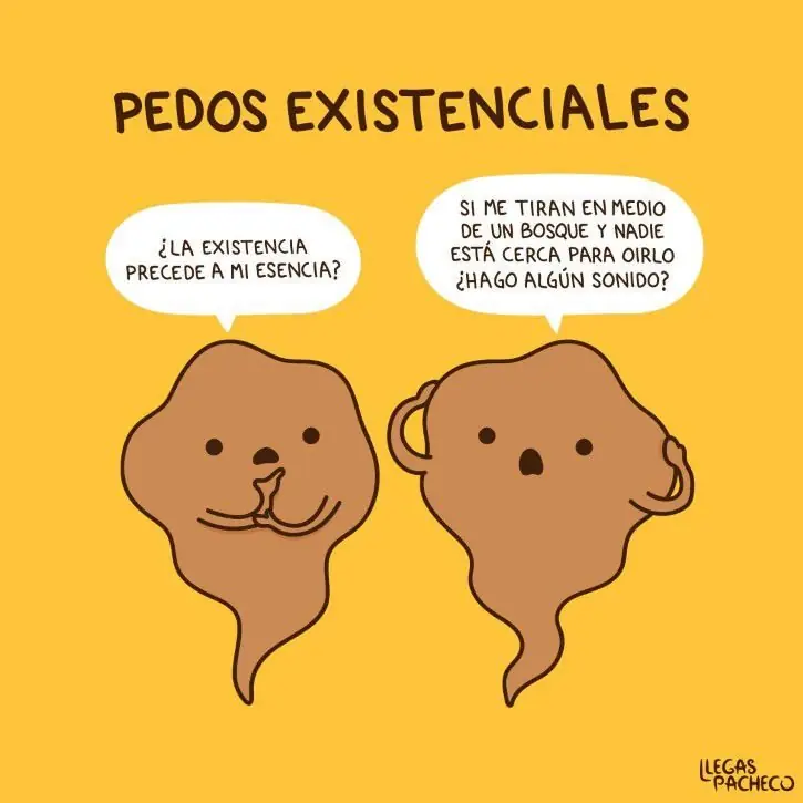 estudio