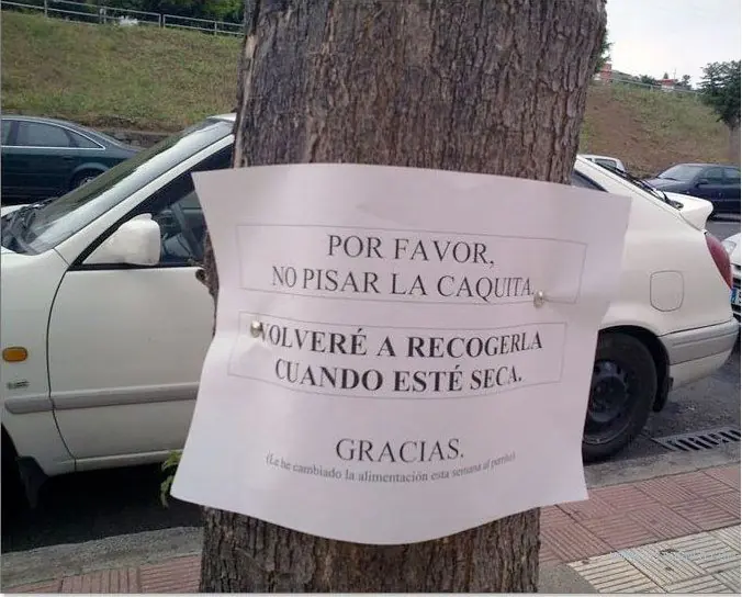 humor