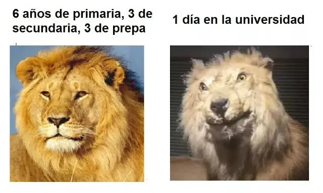 Humor criticado: para todas las personas misteriosas
