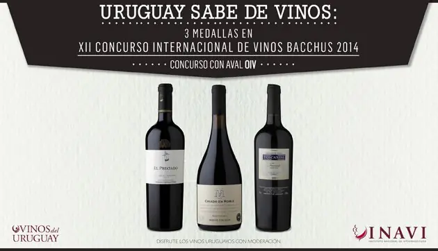 vinos uruguayos