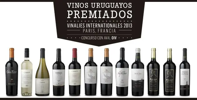 El vino uruguayo, el más "europeo" de América