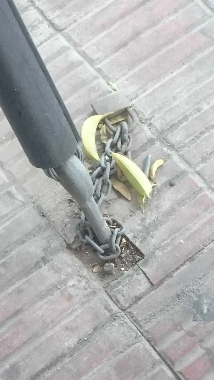 nada de seguridad