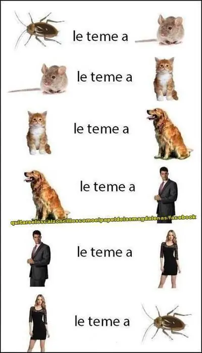 memes viejitos