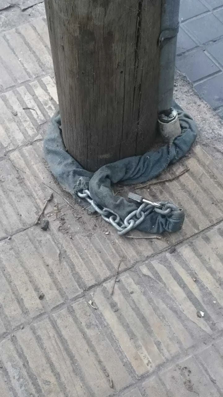 Esta es mi colección de pitones enroscadas (Córdoba)