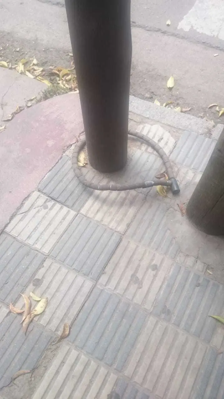 Esta es mi colección de pitones enroscadas (Córdoba)